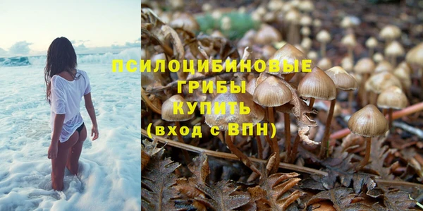 тгк Волоколамск