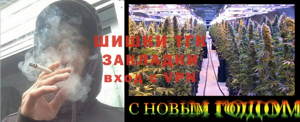 спиды Волосово