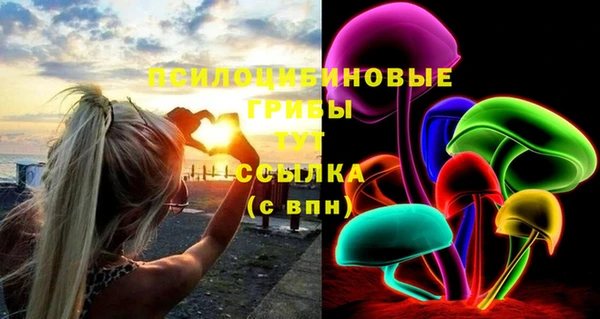 дмт Володарск