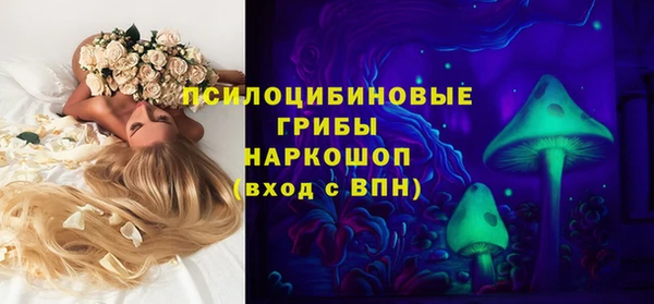 спиды Волосово
