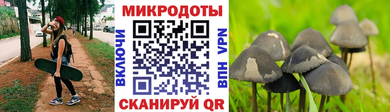 Псилоцибиновые грибы Psilocybe  Рубцовск 